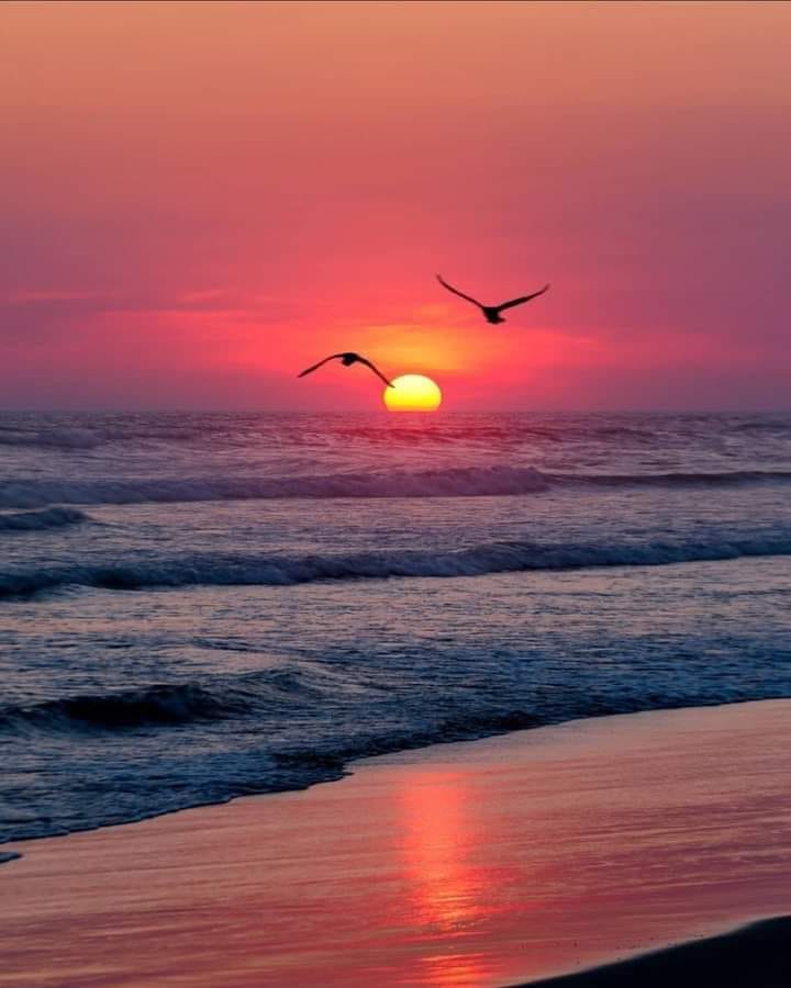 Moments That Make Beach Trips Unforgettable